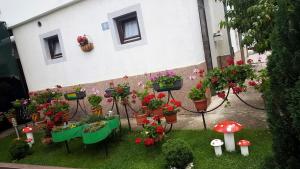 Zahrada ubytování Apartment Elmari
