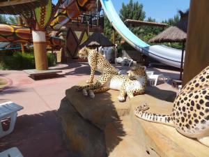 Aquapark v kempu nebo okolí