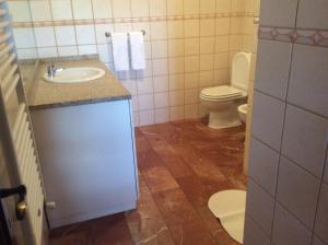 セロリコ・デ・バストにあるCasa da Anta Grandeのバスルーム(洗面台、トイレ付)