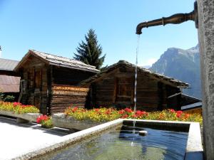 Ein allgemeiner Bergblick oder ein Berglick von der Ferienwohnung aus
