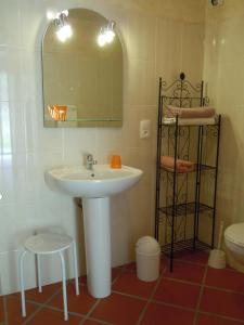 uma casa de banho com um lavatório, um espelho e um WC. em Chambres d'hôtes Mas La Tardosse em Prats-de-Mollo-la-Preste