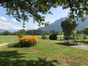 a bench in a park with mountains in the background at Ferienhaus Franz Eisl Radau 39 in St. Wolfgang