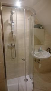 W łazience znajduje się prysznic i umywalka. w obiekcie Pension Harcovna w mieście Frydlant nad Ostrawicą