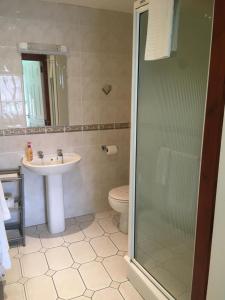 a bathroom with a shower and a sink and a toilet at Shawlee Cottage in Airdrie