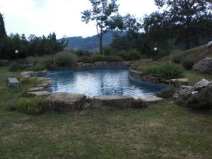 a swimming pool with rocks in a yard at Agriturismo Campo del Pillo in Pietradura