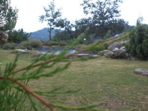 uitzicht op een veld met een rivier en bomen bij Agriturismo Campo del Pillo in Pietradura