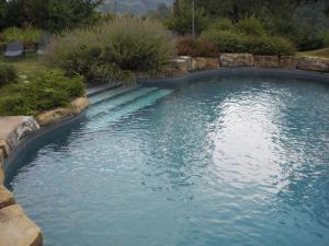 a pool of water in a yard with bushes at Agriturismo Campo del Pillo in Pietradura