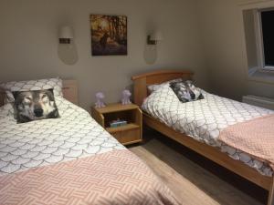 En eller flere senge i et værelse på vakantiehuis laufre