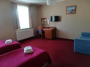 Televízia a/alebo spoločenská miestnosť v ubytovaní Hotel E-lektor