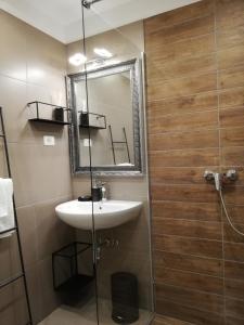 a bathroom with a sink and a shower with a mirror at MAPLE place in Pivka +38 photos