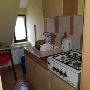 a kitchen with a stove and a stove top oven at Agroturystyka Maria Dębska in Sromowce Wyżne