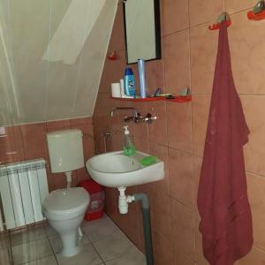 スロモフツェ・ビジネにあるAgroturystyka Maria Dębskaのバスルーム(トイレ、洗面台付)