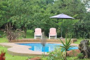 zwei Stühle und ein Regenschirm neben einem Pool in der Unterkunft Eden Estates and Lodge in Lilongwe