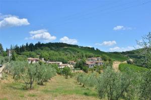 Táj Show holiday homes közelében