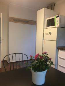Kuchyň nebo kuchyňský kout v ubytování Apartmán Brno Jelenice