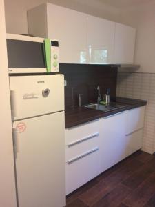 Kuchyň nebo kuchyňský kout v ubytování Apartmán Brno Jelenice