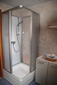 a shower with a glass door in a bathroom at Ferienwohnung Karin in Bludenz
