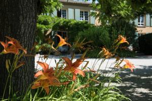 a bunch of flowers in front of a tree at Logis Hôtel Castel Mouisson in Barbentane