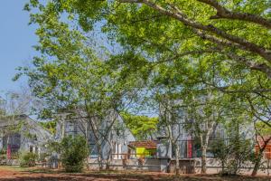 a house with trees in front of it at Bluemere Living in White River
