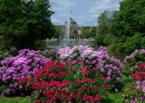 a bunch of flowers in front of a pond with a fountain at Ferienwohnung-Wiesbaden-Top3 in Wiesbaden