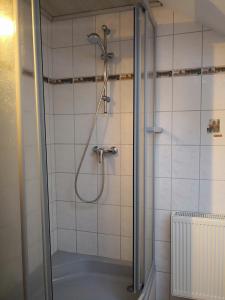 uma casa de banho com um chuveiro e uma porta de vidro em Ferienwohnung Schmeisser em Kirchenpingarten
