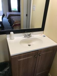 a bathroom with a sink and a mirror at Village Motor Inn in Austin