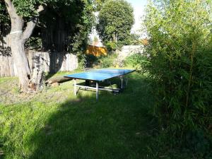 eine Tischtennisplatte im Gras im Hof in der Unterkunft Alte Schäferei in Straupitz