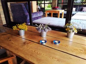 a wooden table with three plants on top of it at Raudonkalnis in Mankiškiai +37 photos