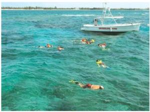 Gäste, die in der Unterkunft Flamingo Bay Hotel & Marina übernachten