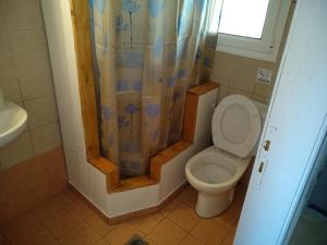 a bathroom with a toilet and a shower curtain at Despoina Rooms in Tsoukalades +49 photos