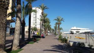 a sidewalk with palm trees and a building at Viviendas Moreno Mar Menor in Santiago de la Ribera
