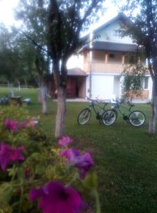 Zahrada ubytování Apartments Paradise