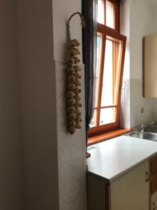 eine Küche mit einem Waschbecken, einem Fenster und einer Theke in der Unterkunft Apartments Rombon in Bovec