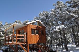 a tree house in the snow in a forest at Cabane des Guernazelles in Valderoure