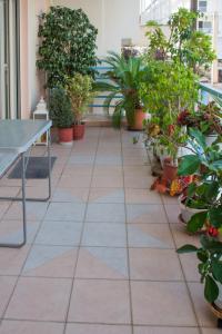 A garden outside Artemis central apartment
