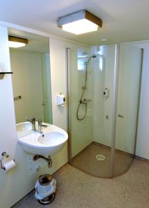 a bathroom with a sink and a shower at Elveseter Hotell in Boverdalen