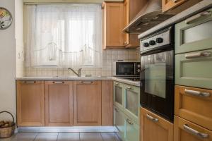 A kitchen or kitchenette at Artemis central apartment