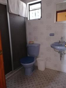 La salle de bains est pourvue de toilettes bleues et d'un lavabo. dans l'établissement Villa San Francisco Hotel, à Taxco