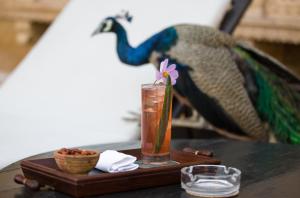 a table with a tray with a drink and a peacock in the background at Suryagarh Jaisalmer in Jaisalmer