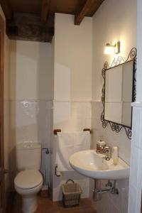 a bathroom with a toilet and a sink and a mirror at La Prida Apartamentos Rurales in Caleao