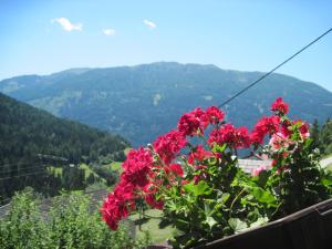 拉登泰因Chalet Catton Two Bedroom Appartement near Bad Kleinkirchheim的阳台上的红花灌木
