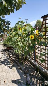 A garden outside Gasthof Paradiesgartl