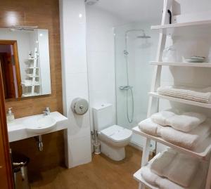 a bathroom with a shower and a toilet and a sink at Hostal Puerta La Villa in Tordesillas +87 photos