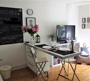 TV a/nebo společenská místnost v ubytování Chic apartment