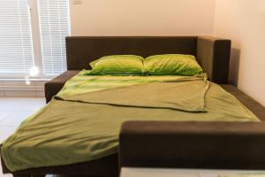 Gallery image of The Best Guest Sunny Apartment By The River Free Public Parking in Niš