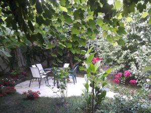 Gallery image of Dima's Guesthouse in Tʼelavi