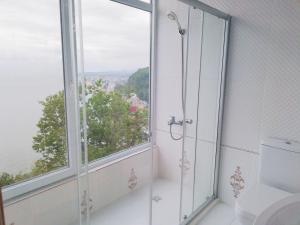 a bathroom with a shower and a toilet and a window at Albatross Kvariati Guest House in Kvariati