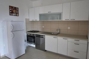 Kuchyň nebo kuchyňský kout v ubytování Apartment Camelia with pool and sea view
