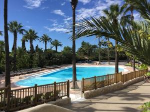 a swimming pool with palm trees in a resort at Camping Resort La Baume La Palmeraie in Fréjus