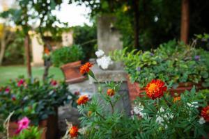 カパルビオにあるAntica Pinciana Agriturismoのギャラリーの写真 +69枚の写真